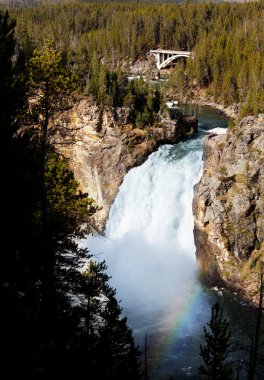 Yellowstone'da şelale