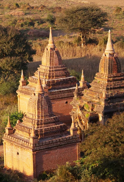 Bagan. — Foto de Stock