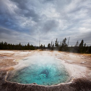 Yellowstone