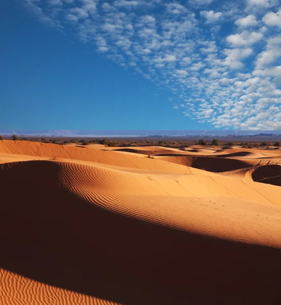 Deserto — Fotografia de Stock