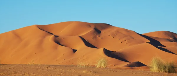 Dune — Stok Foto