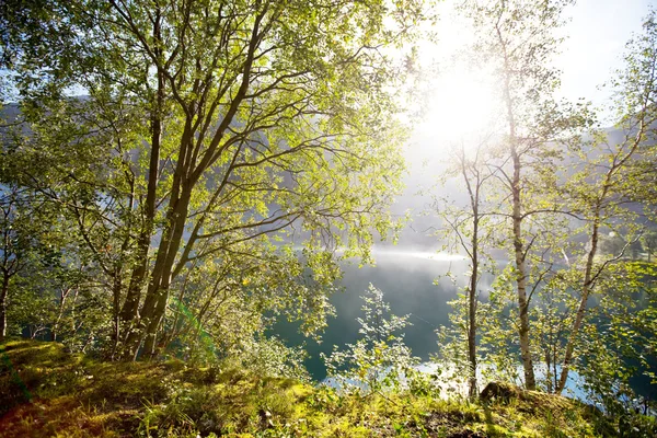 Innsjøen i Norge – stockfoto
