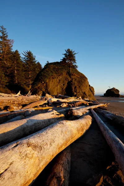 stock image Olympic coast