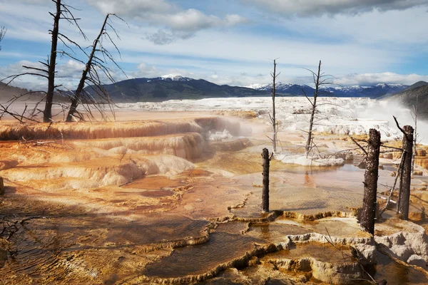 Mammoth Hot Spring — Zdjęcie stockowe