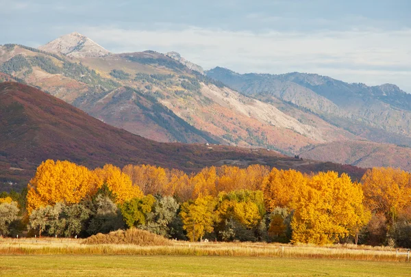 Autumn in mountains — Stock Photo, Image