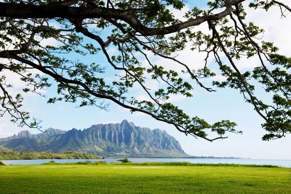 Hawaii — 图库照片