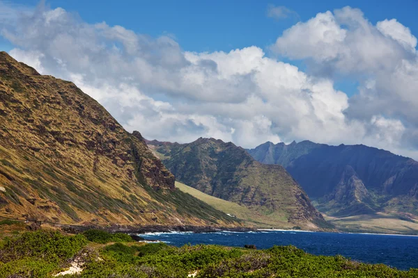 Hawaii — Foto Stock