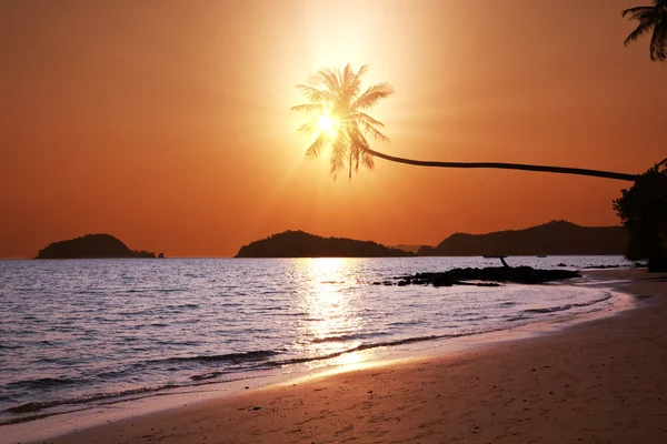 Spiaggia tropicale — Foto Stock