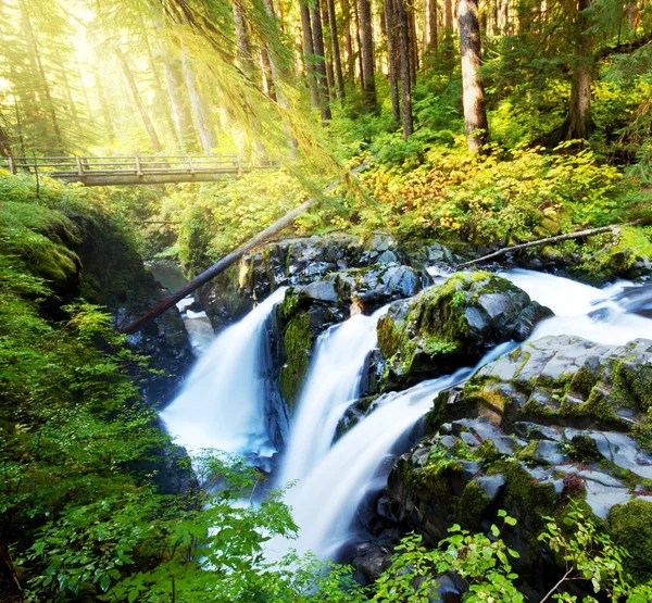 Sol Duc — Stok fotoğraf