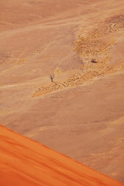 Namib