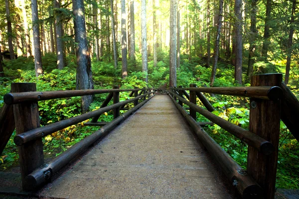 stock image Boardwalk