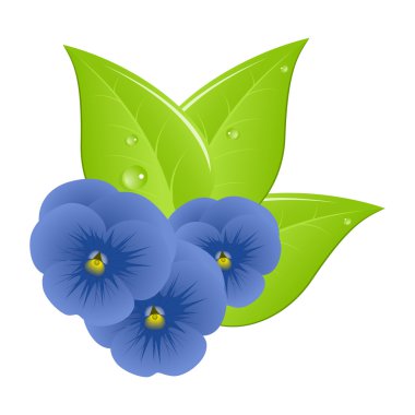 Three violets clipart