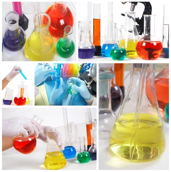 Collage. Science Team — Stock Photo, Image