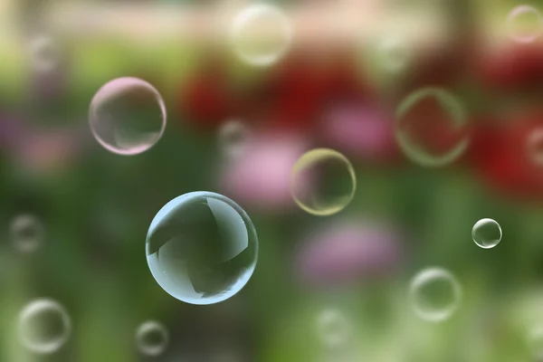 Zeepbellen in park — Stockfoto