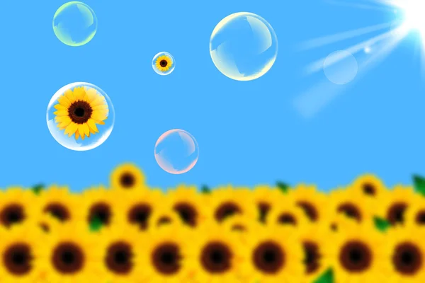 Mýdlová bublina a slunečnice — Stock fotografie