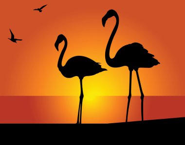 Flamingo clipart