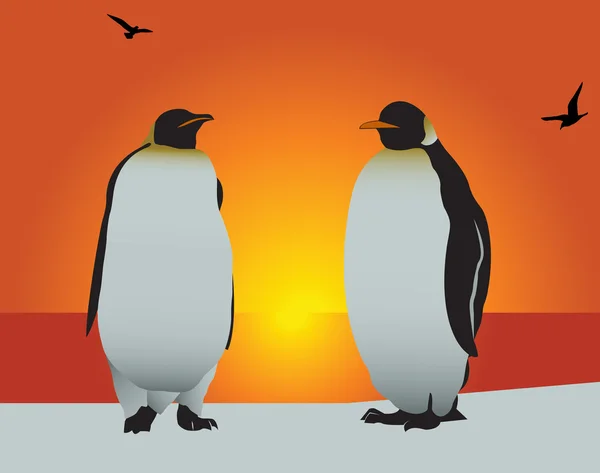Un pingouin. L'amour — Image vectorielle