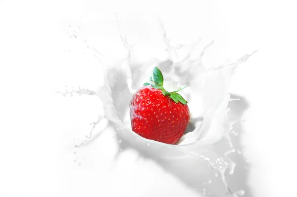 Φράουλα βουτιά σε ένα μπολ με γάλα — Φωτογραφία Αρχείου