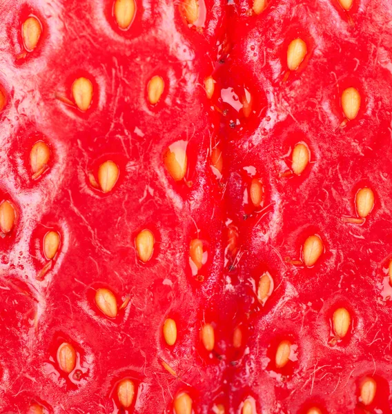 Strawberry makro närbild med grunt dof — Stockfoto