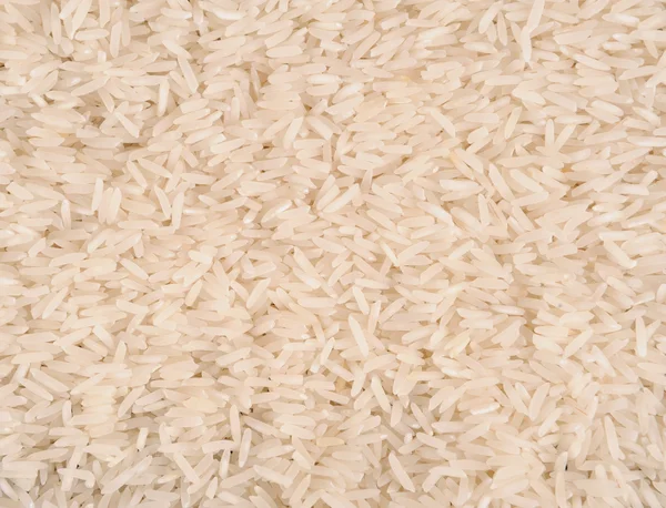 Primo piano sul riso — Foto Stock