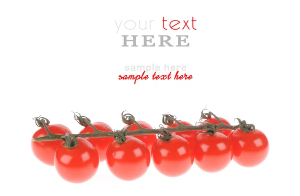 Rote Tomaten isoliert auf weißem Hintergrund — Stockfoto