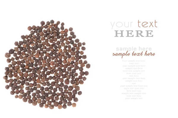 Black pepper isolated on the white background — Stock Photo, Image