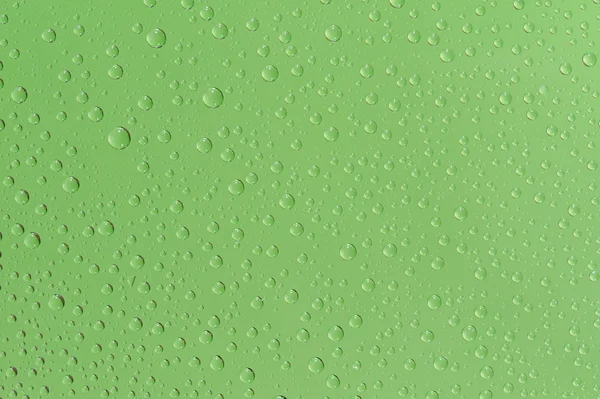 stock image Many water drops on the green background