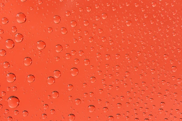 Many water drops on the red background — Stock Photo, Image