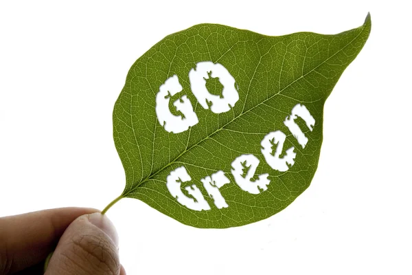 Dalej komunikat zielony liść — Zdjęcie stockowe