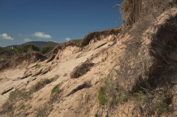 stock image Bare back dune