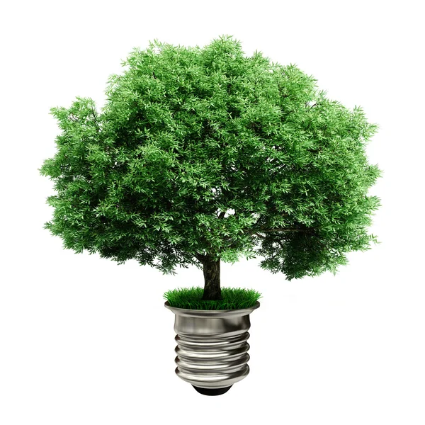 3D-boom in een gloeilamp, groene energieconcept — Stockfoto