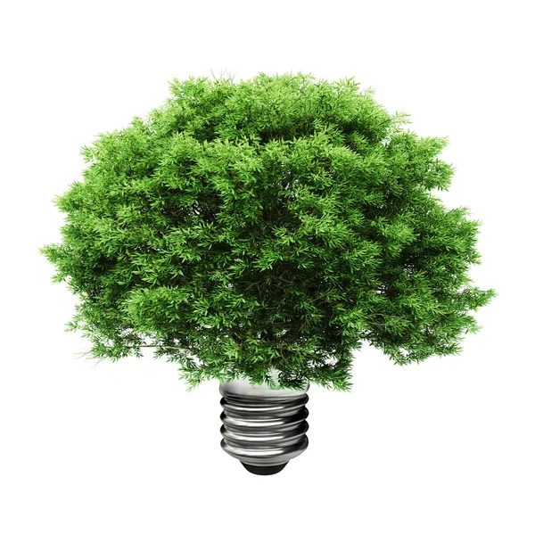 3d puu hehkulamppu, vihreä energia käsite — kuvapankkivalokuva