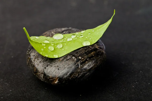 Zen kamienie i freshplant z kropli wody — Zdjęcie stockowe