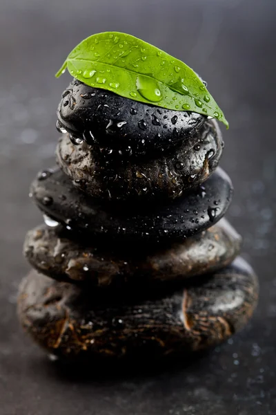 stock image Zen stones and freshplant with water drops