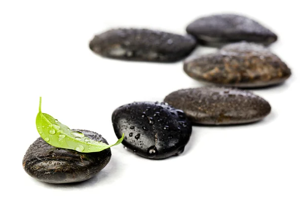 Zen-Steine und Süßpflanze mit Wassertropfen — Stockfoto