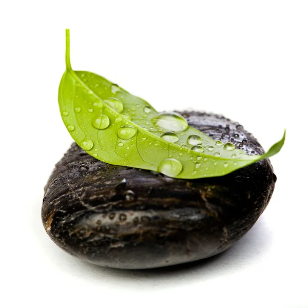 Zen kamienie i freshplant z kropli wody — Zdjęcie stockowe
