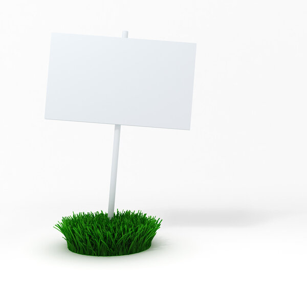 3d blank board on a patch of green fresh grass