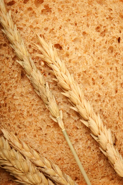 Wheat bread and grain ears — Stock Photo, Image