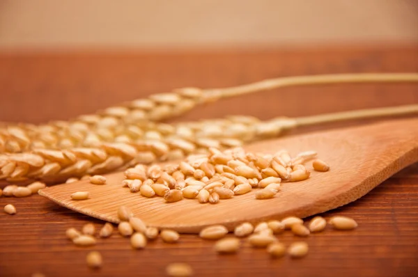 Granos de trigo —  Fotos de Stock