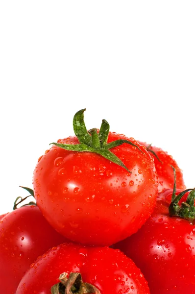 Pomodori — Foto Stock