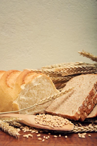 Pão e grãos de trigo — Fotografia de Stock