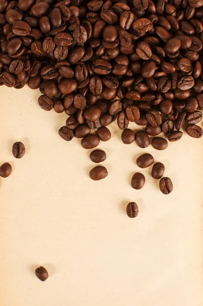 コーヒーの穀物 — ストック写真