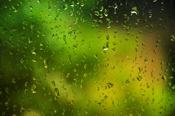 Дождевые капли — стоковое фото