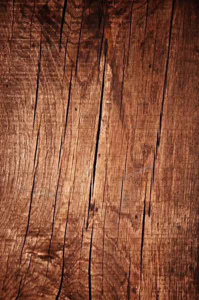 Textura madera — Foto de Stock