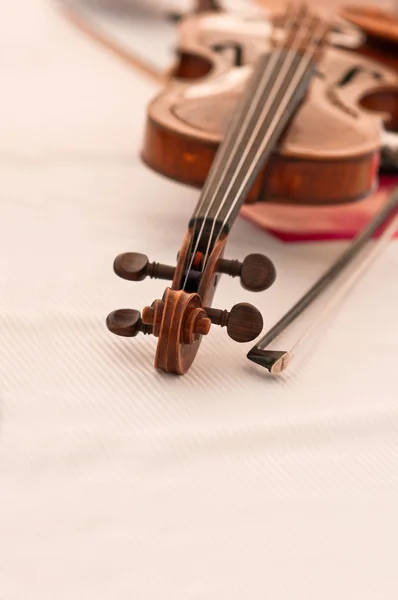 Скрипка — стокове фото
