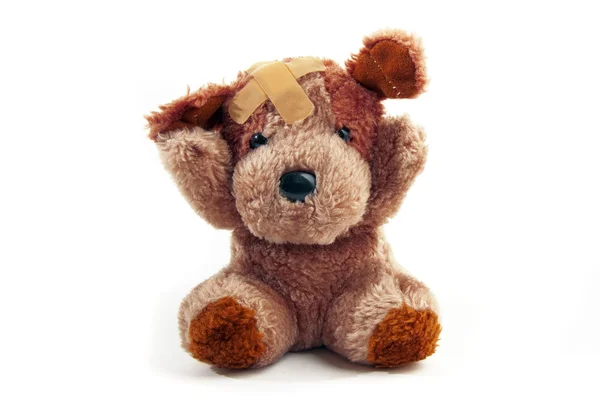 Teddy bear — Stockfoto