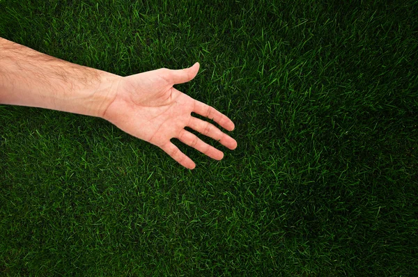 Mão na grama — Fotografia de Stock