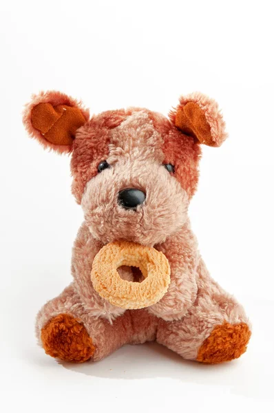 Teddy bear — Stockfoto