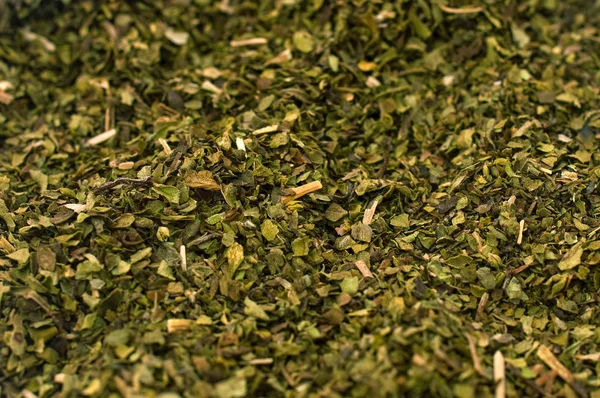 Oregano kruid — Stockfoto