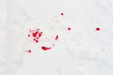 Blood stains in the snow clipart